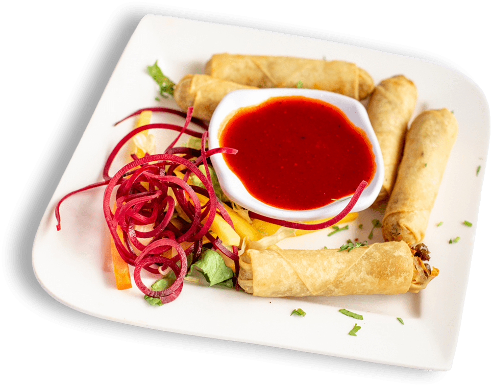 Vegetable Spring Rolls - Indian Food Menu - The Best Indian restaurant toronto near me